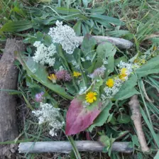 Centre de Siaugues Sainte Marie - Vacances - Galerie semaine du 1 au 5 aout "