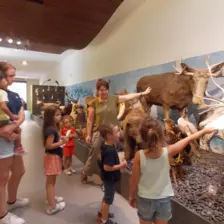 Centre de Siaugues Sainte Marie - Vacances - Galerie semaine du 1 au 5 aout "