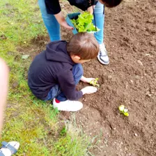 Centre de Saugues - Mercredis - Galerie Mercredis 2025