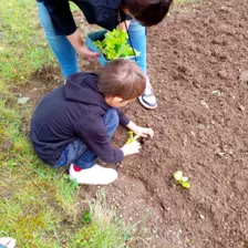 Centre de Saugues - Mercredis - Galerie Mercredis 2025