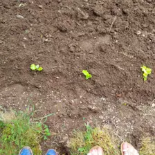 Centre de Saugues - Mercredis - Galerie Mercredis 2025