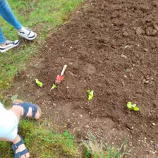 Centre de Saugues - Mercredis - Galerie Mercredis 2025