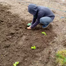 Centre de Saugues - Mercredis - Galerie Mercredis 2025