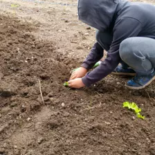Centre de Saugues - Mercredis - Galerie Mercredis 2025