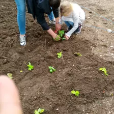 Centre de Saugues - Mercredis - Galerie Mercredis 2025