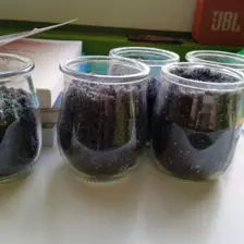 Centre de Velay Ouest (Allègre - Saint Paulien) - Vacances - Galerie Le jour je bouge, la nuit je rêve février 2026