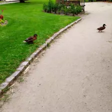 Centre de Saugues - Vacances - Galerie Vacances été 2025