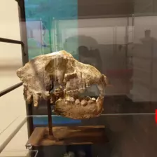 Centre de Saugues - Vacances - Galerie Vacances été 2025