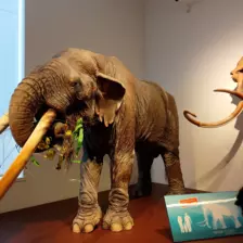 Centre de Saugues - Vacances - Galerie Vacances été 2025