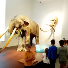 Centre de Saugues - Vacances - Galerie Vacances été 2025