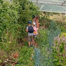 Centre de Vals Prés le Puy - Vacances - Galerie Séjour de la Terre à l'assiette