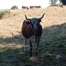 Centre de Vals Prés le Puy - Vacances - Galerie Séjour de la Terre à l'assiette