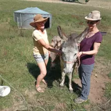 Centre de Vals Prés le Puy - Vacances - Galerie Séjour de la Terre à l'assiette