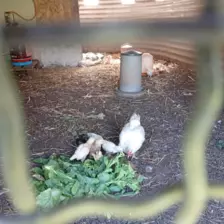 Centre de Vals Prés le Puy - Vacances - Galerie Séjour de la Terre à l'assiette