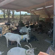 Centre de Vals Prés le Puy - Vacances - Galerie Séjour de la Terre à l'assiette