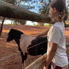 Centre de Velay Ouest (Loudes) - Vacances - Galerie Camp plage