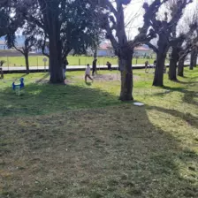 Centre de Bains & Solignac - Mercredis - Galerie Les vers de terres