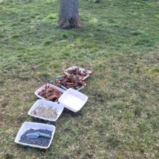 Centre de Bains & Solignac - Mercredis - Galerie Les vers de terres