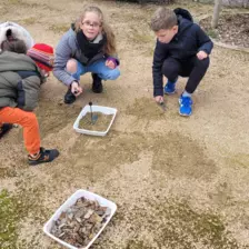 Centre de Bains & Solignac - Mercredis - Galerie Les vers de terres