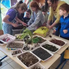 Centre de Bains & Solignac - Mercredis - Galerie Les vers de terres