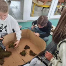 Centre de Velay Ouest (Loudes) - Vacances - Galerie Printemps 2025 "Paléontologues en herbe"