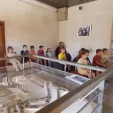 Centre de Siaugues Sainte Marie - Vacances - Galerie semaine du 25 au 29 juillet