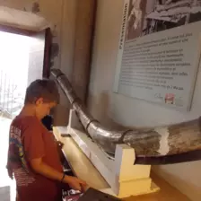 Centre de Siaugues Sainte Marie - Vacances - Galerie semaine du 25 au 29 juillet