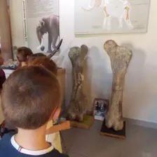 Centre de Siaugues Sainte Marie - Vacances - Galerie semaine du 25 au 29 juillet