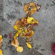 Centre de Siaugues Sainte Marie - Vacances - Galerie Octobre 2025