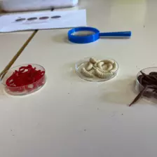 Centre de Bains & Solignac - Mercredis - Galerie Les vers de terres