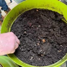 Centre de Bains & Solignac - Mercredis - Galerie Les vers de terres