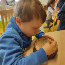 Centre de Velay Ouest (Loudes) - Vacances - Galerie Hiver 2025 "Les Arbres"