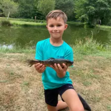 Centre de Siaugues Sainte Marie - Vacances - Galerie Eté 2025