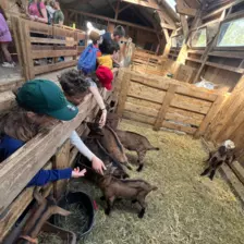 Centre de Langeac (Val Fleuri) - Vacances - Galerie Camps "Volcans & Minéraux"