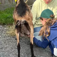 Centre de Langeac (Val Fleuri) - Vacances - Galerie Camps "Volcans & Minéraux"