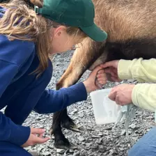 Centre de Langeac (Val Fleuri) - Vacances - Galerie Camps "Volcans & Minéraux"