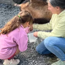 Centre de Langeac (Val Fleuri) - Vacances - Galerie Camps "Volcans & Minéraux"