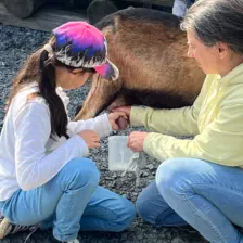 Centre de Langeac (Val Fleuri) - Vacances - Galerie Camps "Volcans & Minéraux"