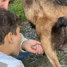 Centre de Langeac (Val Fleuri) - Vacances - Galerie Camps "Volcans & Minéraux"