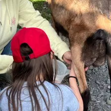 Centre de Langeac (Val Fleuri) - Vacances - Galerie Camps "Volcans & Minéraux"