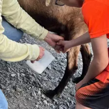 Centre de Langeac (Val Fleuri) - Vacances - Galerie Camps "Volcans & Minéraux"