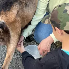Centre de Langeac (Val Fleuri) - Vacances - Galerie Camps "Volcans & Minéraux"