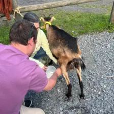 Centre de Langeac (Val Fleuri) - Vacances - Galerie Camps "Volcans & Minéraux"