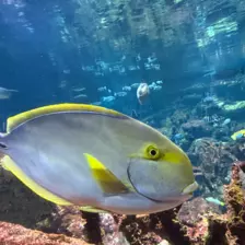 Séjour ✨ Un voyage ludique et culturel au cœur de la Normandie ✨ - Galerie La cité de la mer / deuxième jour