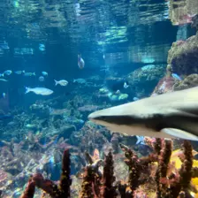 Séjour ✨ Un voyage ludique et culturel au cœur de la Normandie ✨ - Galerie La cité de la mer / deuxième jour