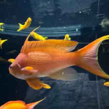 Séjour ✨ Un voyage ludique et culturel au cœur de la Normandie ✨ - Galerie La cité de la mer / deuxième jour