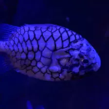 Séjour ✨ Un voyage ludique et culturel au cœur de la Normandie ✨ - Galerie La cité de la mer / deuxième jour