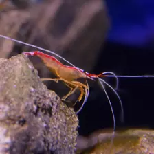 Séjour ✨ Un voyage ludique et culturel au cœur de la Normandie ✨ - Galerie La cité de la mer / deuxième jour