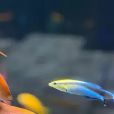 Séjour ✨ Un voyage ludique et culturel au cœur de la Normandie ✨ - Galerie La cité de la mer / deuxième jour