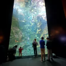 Séjour ✨ Un voyage ludique et culturel au cœur de la Normandie ✨ - Galerie La cité de la mer / deuxième jour